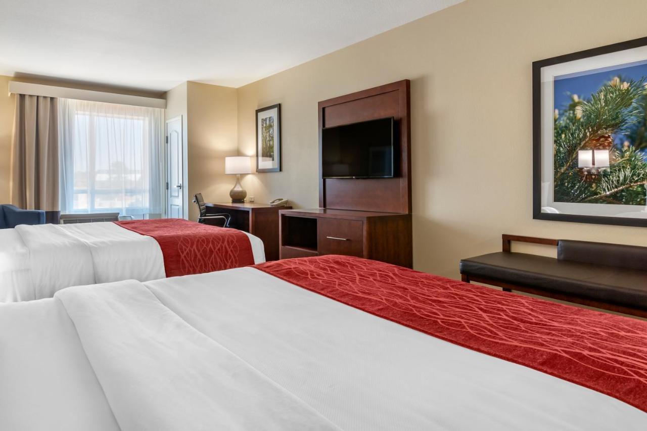 Comfort Inn & Suites Tifton Pokoj fotografie